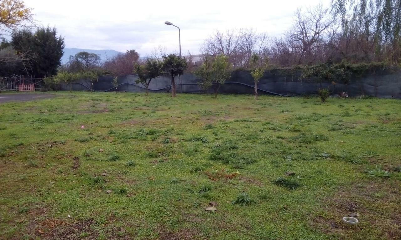 فندق Antica Masseria Pellegrini بوسكوريليه المظهر الخارجي الصورة
